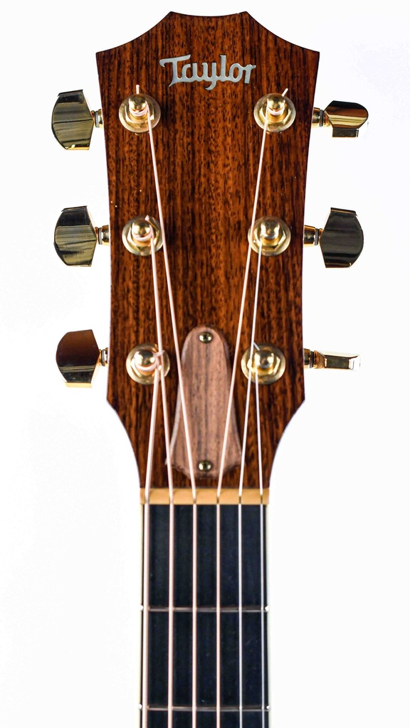 Taylor GS Series Western Red Cedar Tropical Mahogany 2006-4.jpg