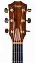 Taylor GS Series Western Red Cedar Tropical Mahogany 2006-4.jpg