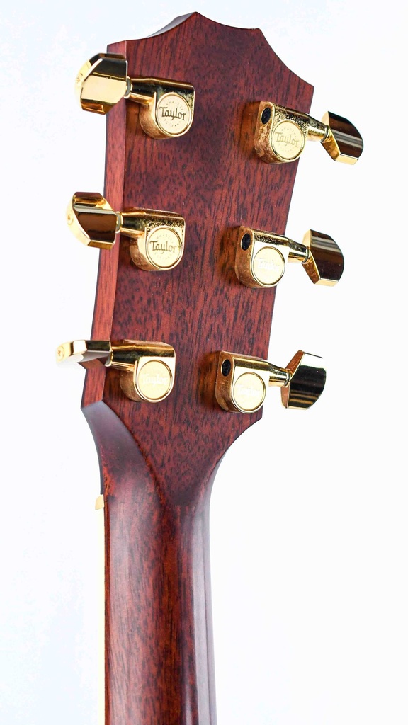 Taylor GS Series Western Red Cedar Tropical Mahogany 2006-5.jpg