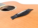 Taylor GS Series Western Red Cedar Tropical Mahogany 2006-10.jpg