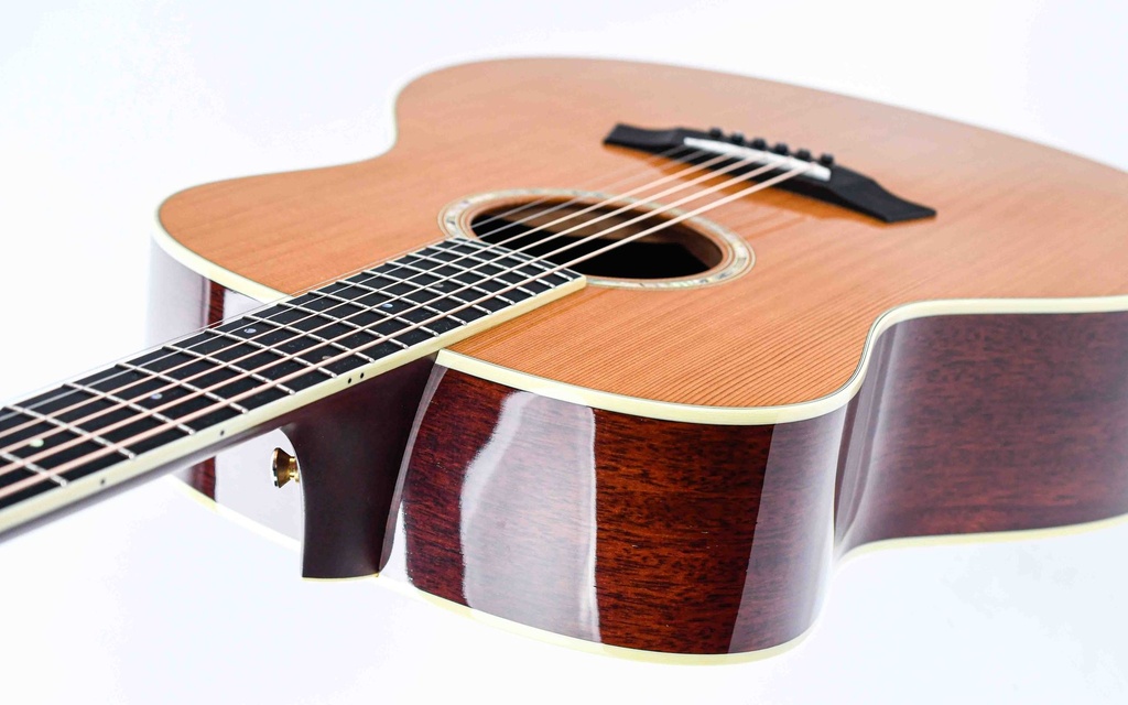 Taylor GS Series Western Red Cedar Tropical Mahogany 2006-8.jpg