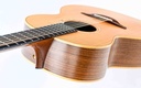 Lowden S32 12 String 1996-8.jpg