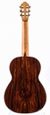 Menno Bos Torres Cocobolo Spruce 2019-7.jpg