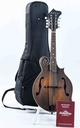 Eastman MD315 F Style B-Stock-1.jpg