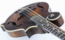 Eastman MD315 F Style B-Stock-8.jpg