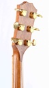 Taylor 814ce 2013-7.jpg