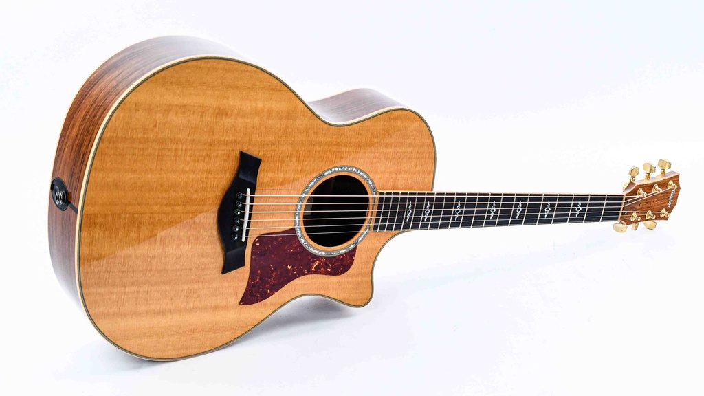 Taylor 814ce 2013-11.jpg