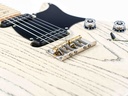 PRS NF53 White Doghair 2023-11.jpg