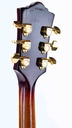 Guild M75 Bluesbird Sunburst 1972-5.jpg