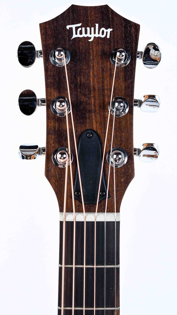 Taylor GS Mini Sapele-4.jpg