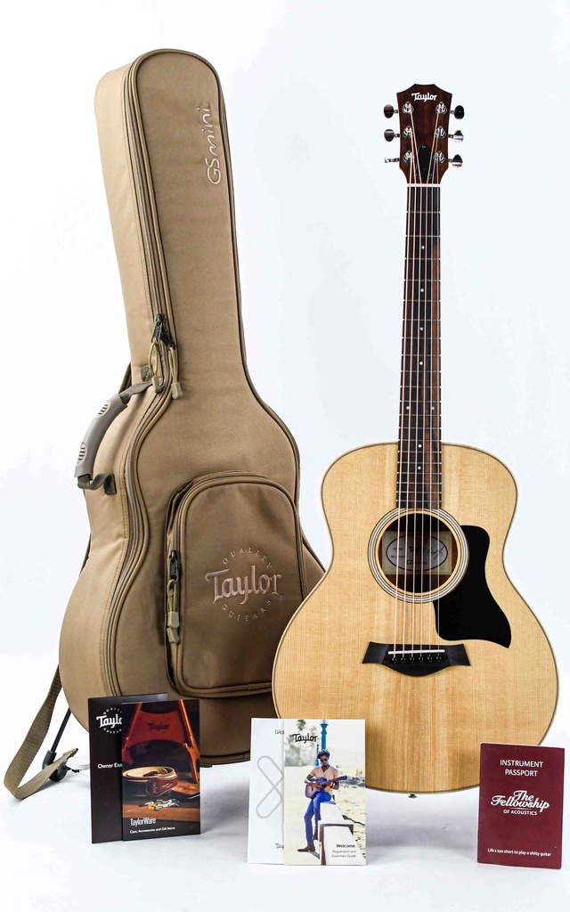 Taylor GS Mini Sapele-1.jpg