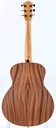 Taylor GS Mini Sapele-7.jpg