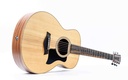 Taylor GS Mini Sapele-12.jpg