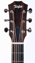 Taylor GS Mini-e Rosewood Sunburst-4.jpg