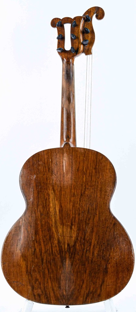 Gianciti Celeste & Figlio Harp Guitar 1880s-7.jpg