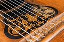 Gianciti Celeste & Figlio Harp Guitar 1880s-11.jpg