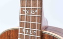 Kala Solid Acacia Tenor Ukulele w- EQ-13.jpg