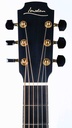 Lowden F50 African Blackwood Sinker Redwood Leaf Inlays-5.jpg