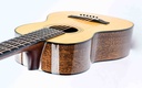 Martin Custom Shop Size 5-18 Mahogany Spruce #2858812-8.jpg