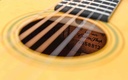 Martin Custom Shop Size 5-18 Mahogany Spruce #2858812-11.jpg