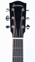 Eastman AC422CE LTD Koa-4.jpg