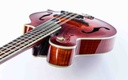 Eastman MDA815 Mandola Classic 2021-8.jpg