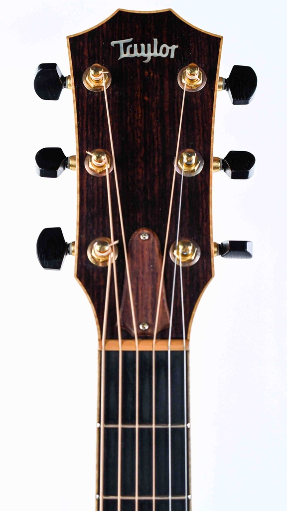 Taylor 810CE Rosewood Sitka Spruce 2007-4.jpg