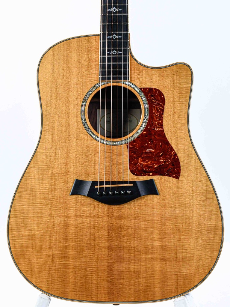 Taylor 810CE Rosewood Sitka Spruce 2007-3.jpg