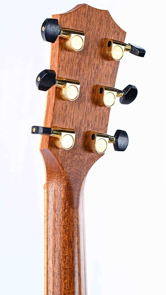 Taylor 810CE Rosewood Sitka Spruce 2007-5.jpg