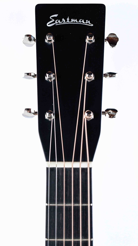 Eastman E10D Thermo Cured Lefty-4.jpg