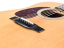 Eastman E10D Thermo Cured Lefty-10.jpg