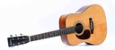 Eastman E10D Thermo Cured Lefty-12.jpg