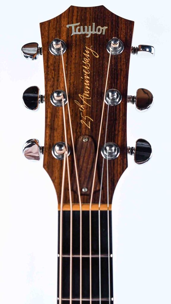 Taylor 510 AB 25th Anniversary 1999-4.jpg