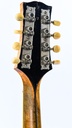 Gibson MB Mandolin Banjo 1918-5.jpg