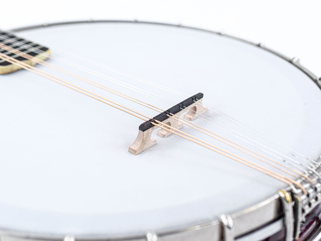 Gibson MB Mandolin Banjo 1918-10.jpg