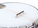 Gibson MB Mandolin Banjo 1918-10.jpg