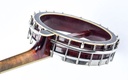 Gibson MB Mandolin Banjo 1918-9.jpg