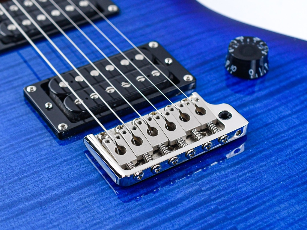 [C18144] PRS SE 35th Anniversary Custom 24 Blue 2018-9.jpg