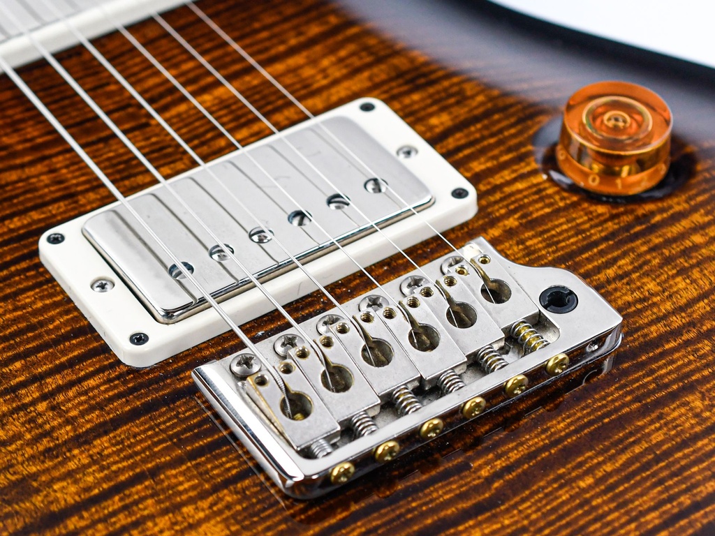 [19 0278540] PRS DGT Black Gold Burst 2019-9.jpg