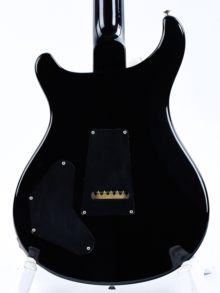 [19 0278540] PRS DGT Black Gold Burst 2019-5.jpg