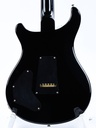[19 0278540] PRS DGT Black Gold Burst 2019-5.jpg
