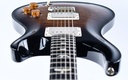 [19 0278540] PRS DGT Black Gold Burst 2019-12.jpg