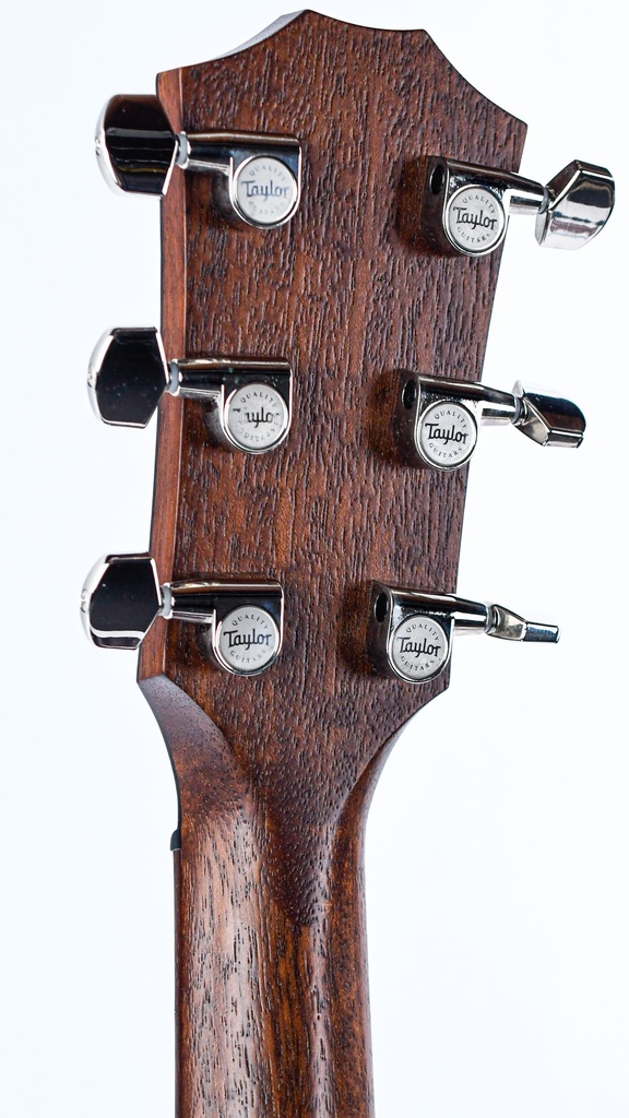 Taylor AD22E 2023-5.jpg