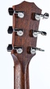 Taylor AD22E 2023-5.jpg