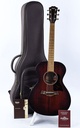 Taylor AD22E 2023-1.jpg