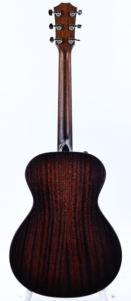 Taylor AD22E 2023-7.jpg