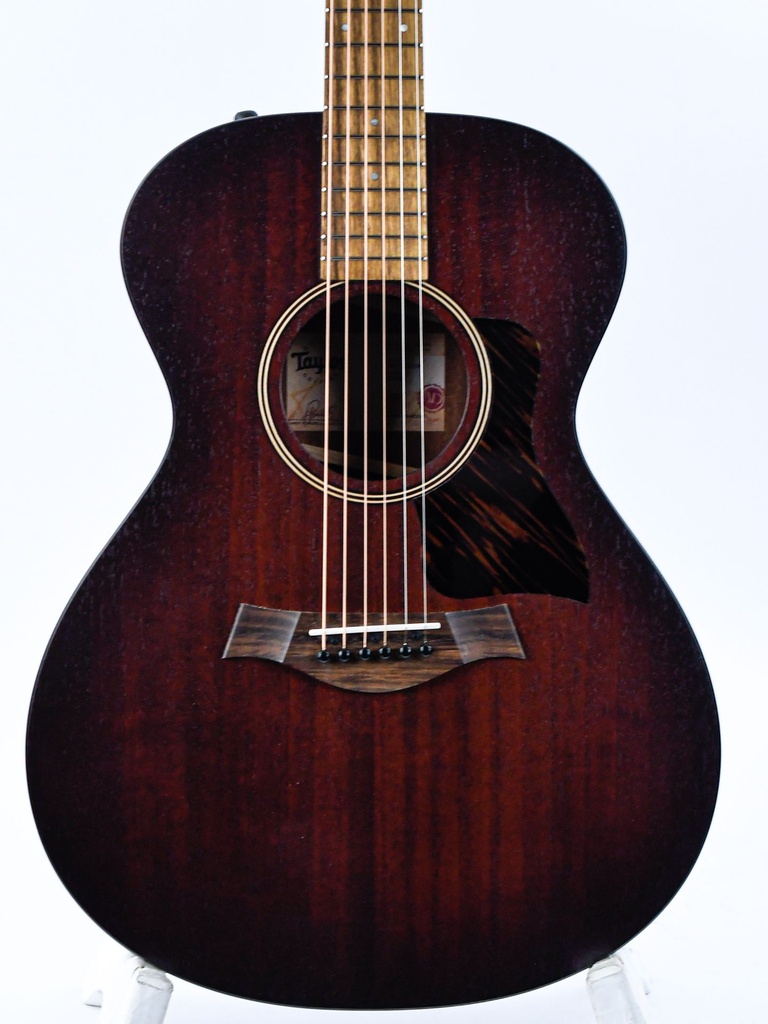 Taylor AD22E 2023-3.jpg