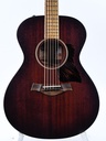 Taylor AD22E 2023-3.jpg