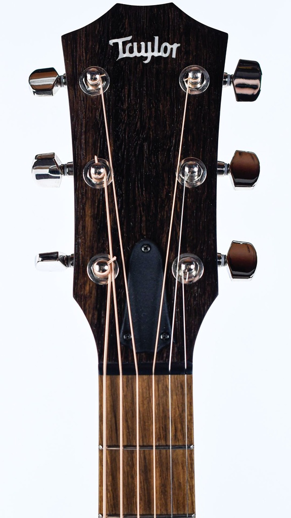 Taylor AD22E 2023-4.jpg