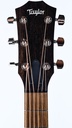 Taylor AD22E 2023-4.jpg